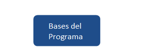 Bases Programa PIVOTA IDEAS